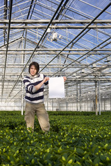 Blank sign in a glasshouse