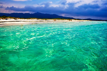 Fototapeta premium La Cinta beach in Sardinia