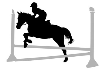 Pferd über dem Sprung © Kathrin Hemkendreis