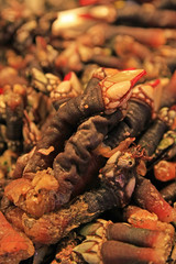 mussels