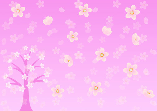 桜咲く
