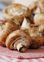 champignons frais