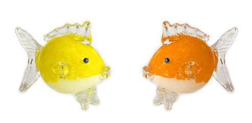 Glass Fish