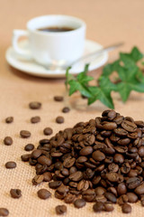 コーヒー豆