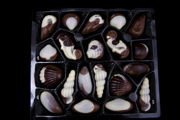 chocolate sweetmeats in form seashell