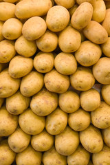background made of fresh potatoe