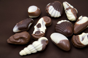 chocolate sweetmeats in form seashell