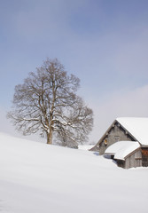 Ferienhaus in den verschneiten Alpen