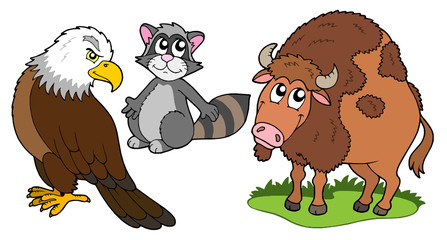 North American animals collection