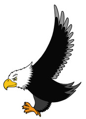 Flying American eagle