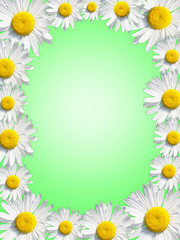 green  background framed by  white daisies