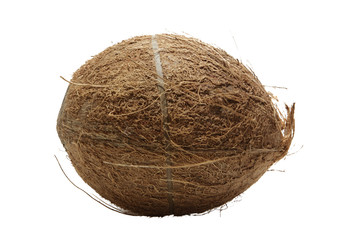 Coconut