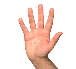 High five isolated on white background