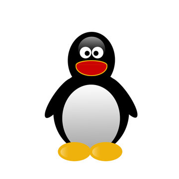 Illustration of penguin on white background