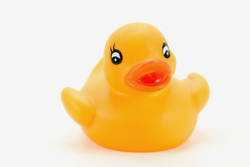 canard en caoutchouc