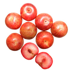 Pluot Plum