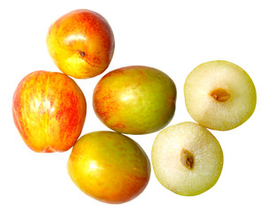 Red yellow Plum