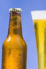 fresh cold and tasty beer