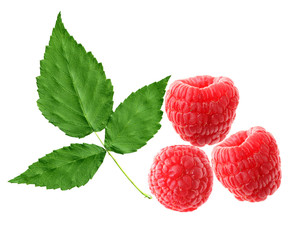 Raspberry and Leaf