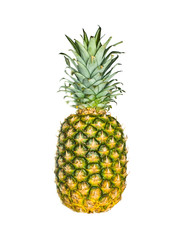 pineapple, isolated