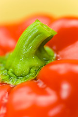 rote paprika-freigestellt