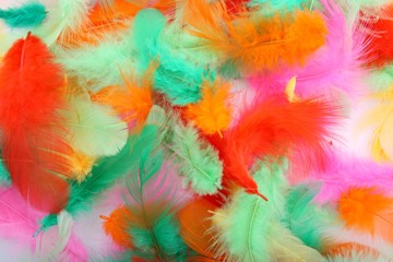 Colorfull  feathers as abstract background