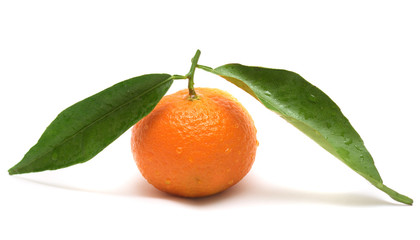 Tangerine with two leaves