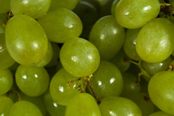 Grape