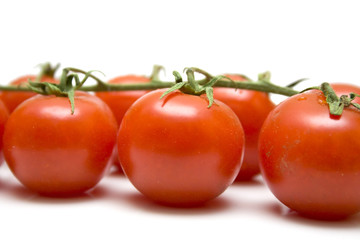 Ripe tomatoes