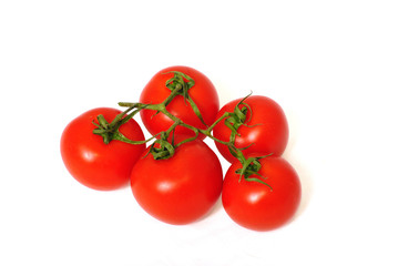 tomato 1