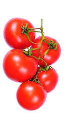tomato 6