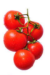 wet tomato 1