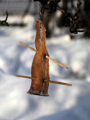 pork-fat