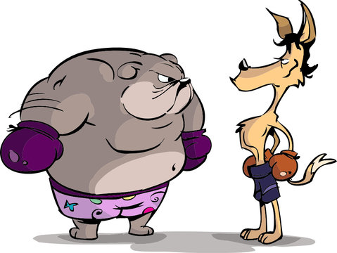 dog fight