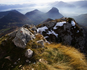 sommet en chartreuse