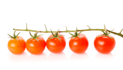 Tomatos