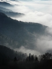 Neblige Hügel im Winter