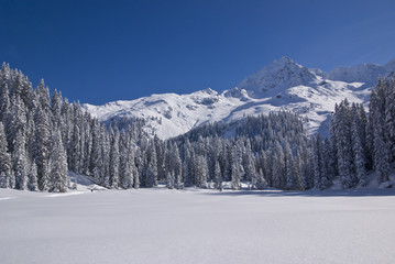 Fototapeta na wymiar Zima w górach
