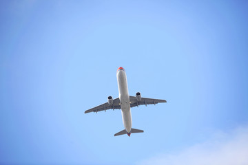 airplane
