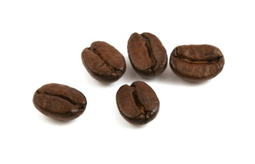 coffee beans close up isolated in studio