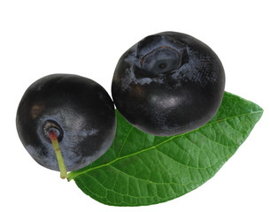 Two blueberries