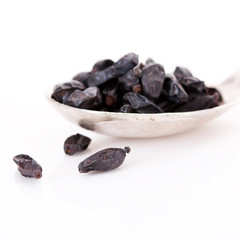 barberry