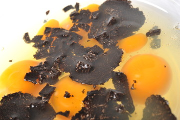 omelette aux truffes