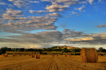 hay bales in a field in french