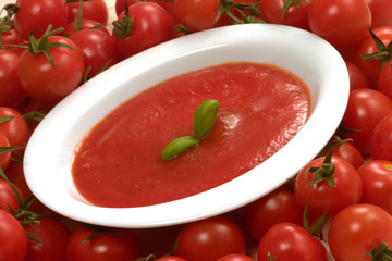 Tomato Soup
