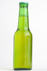 fresh cold and tasty beer