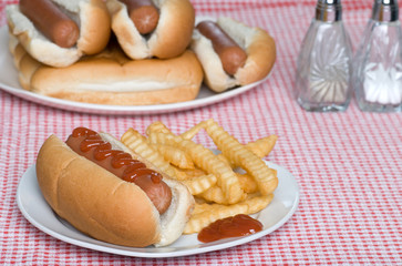 hot dog and french fries