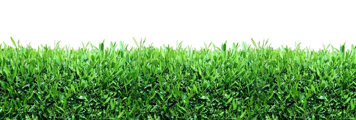 Foto op Plexiglas Spring, green grass background © Kudryashka