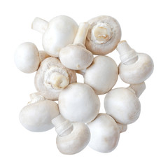 White mushroom