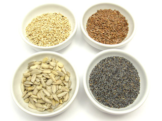 Vier Schalen mit verschiedenen Samen auf weissem Untergrund